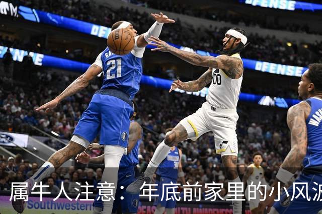属牛人注意：年底前家里的小风波，其实是亲家关系升温的好兆头