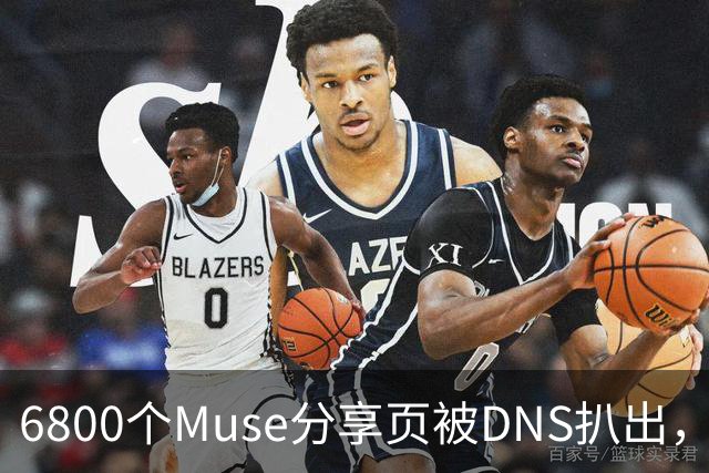6800个Muse分享页被DNS扒出，Meta紧急暂停